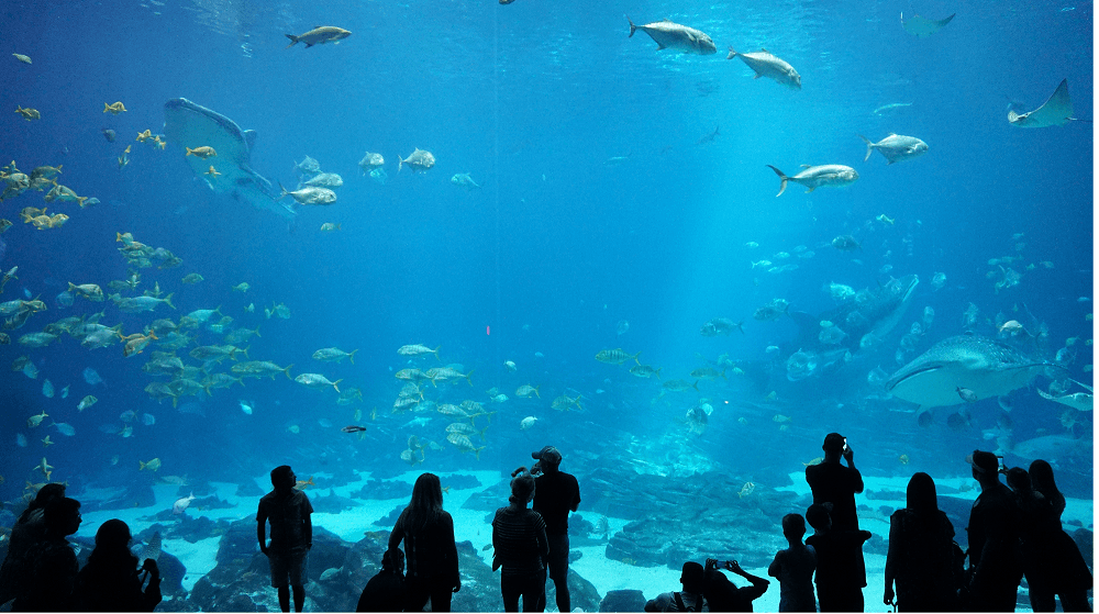 L'aquarium de Paris