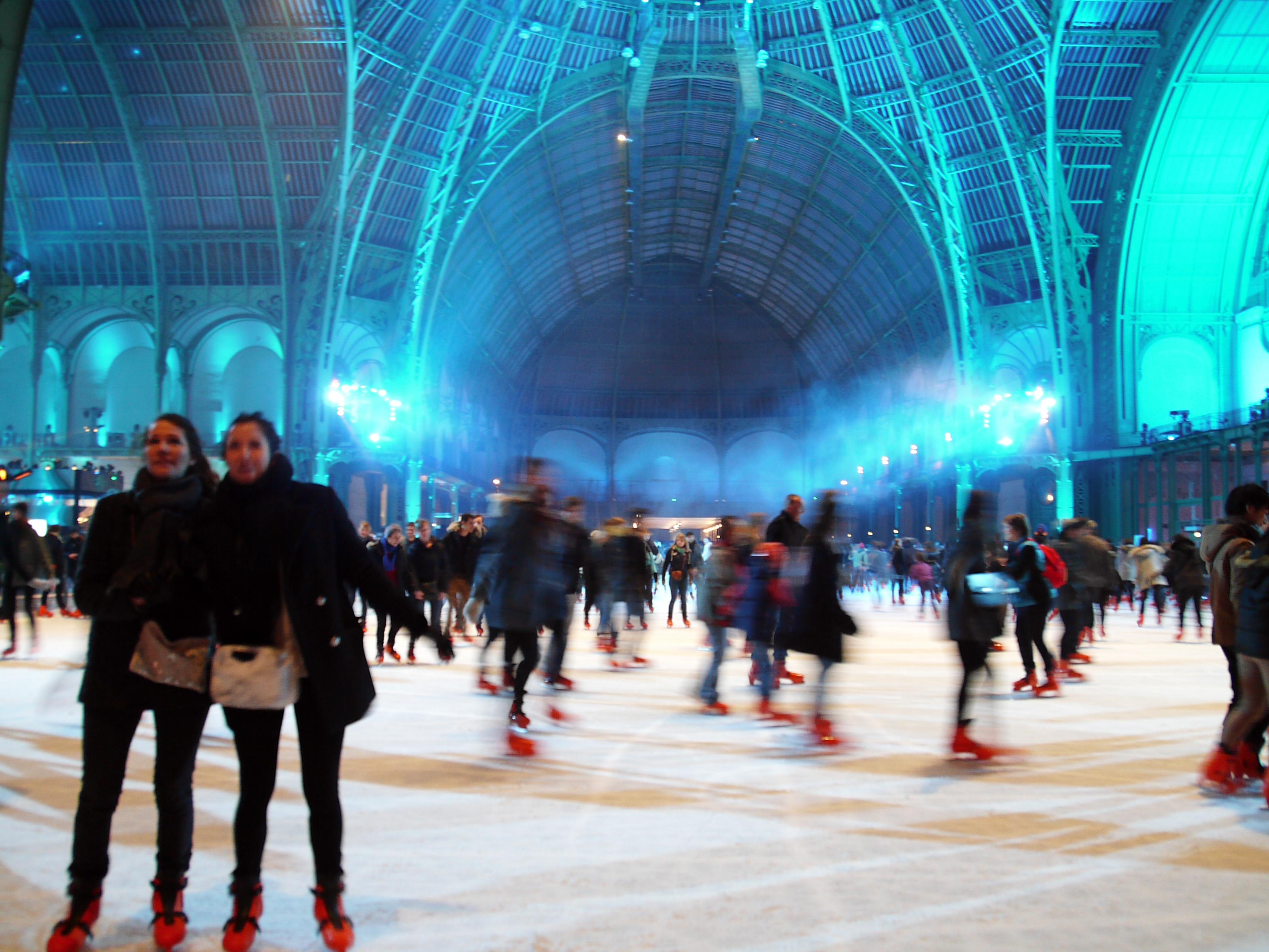 LE GRAND PALAIS DES GLACES 2019-2020