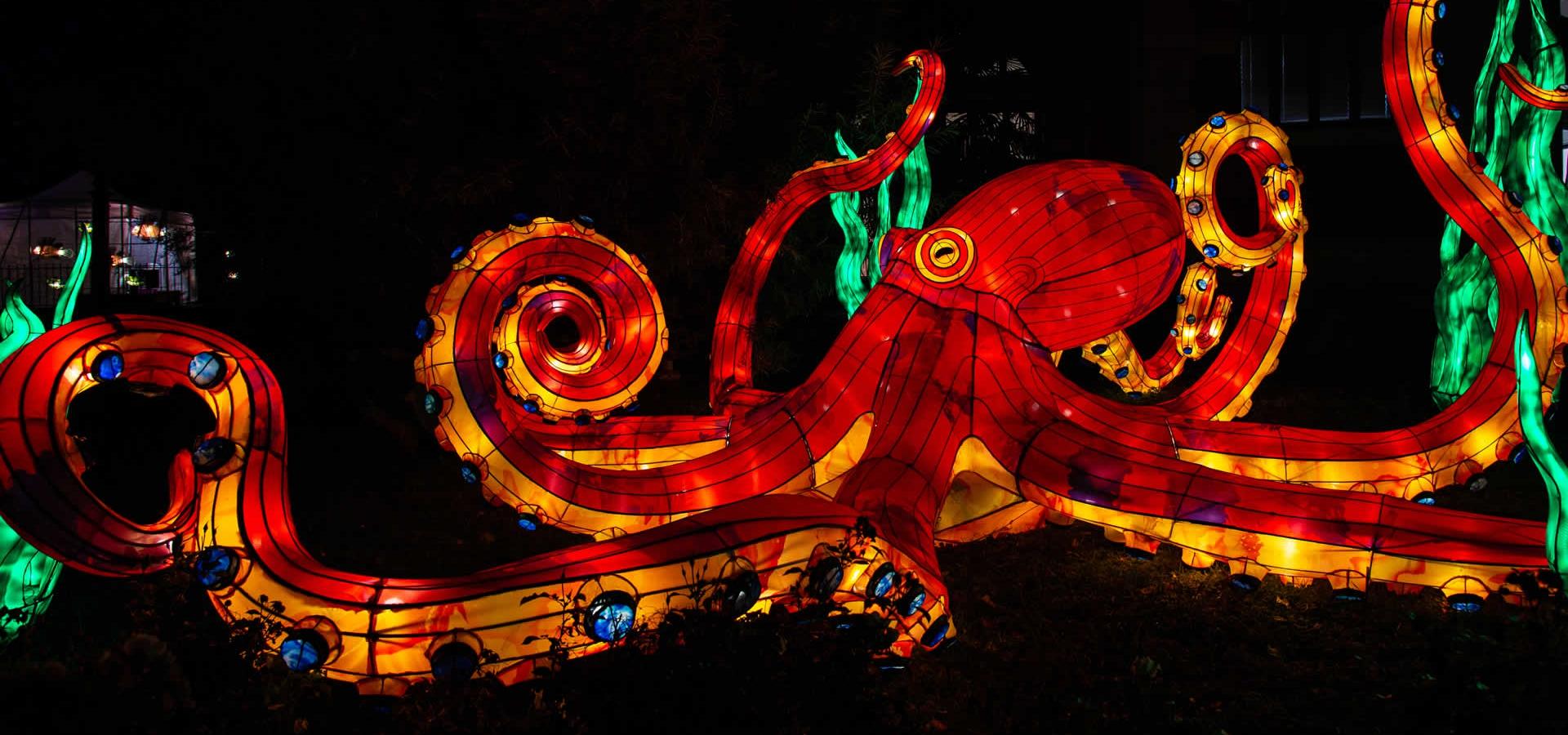 Illuminated ocean at the jardin des plantes