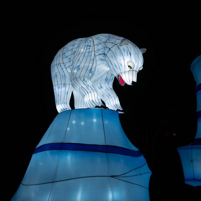 Espèces en voie d'illumination