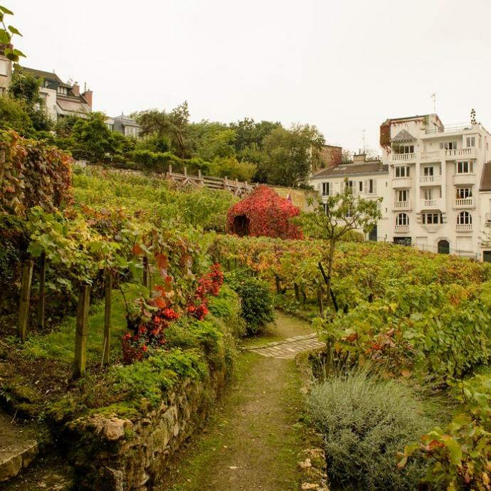 La Fête des Vendanges de Montmartre 2019