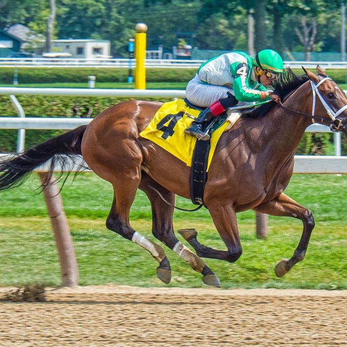 The racecourse of Auteuil