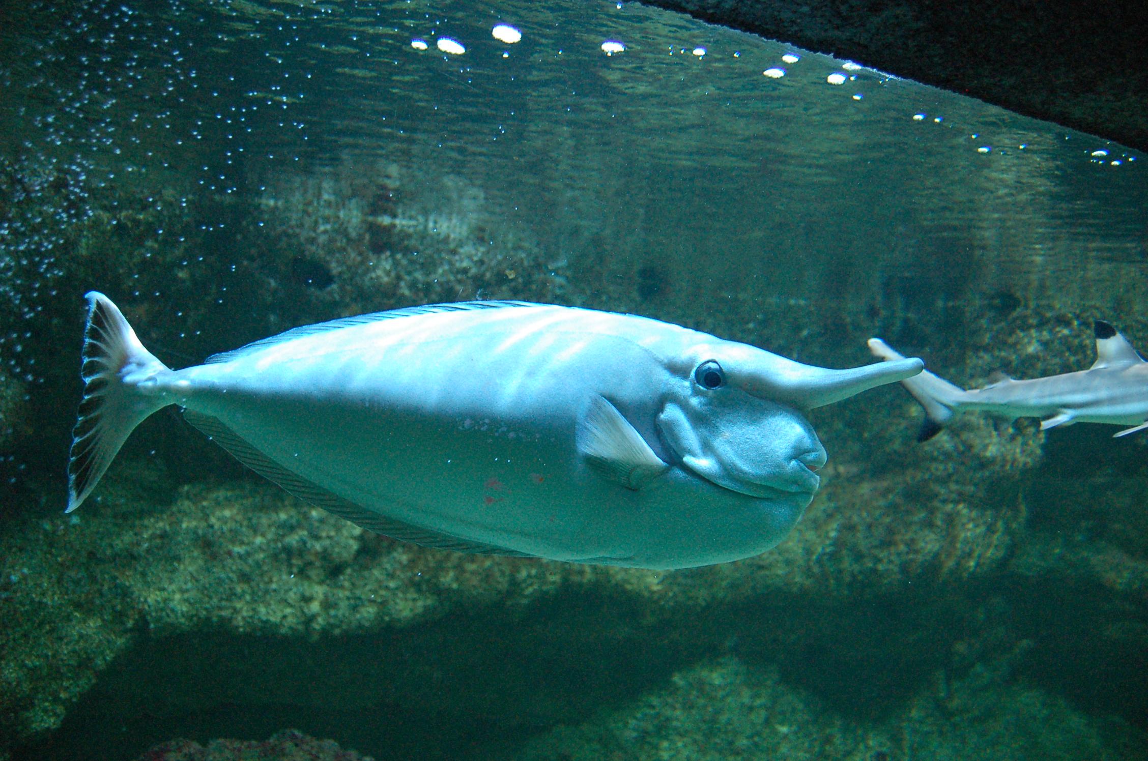 L'Aquarium de Paris