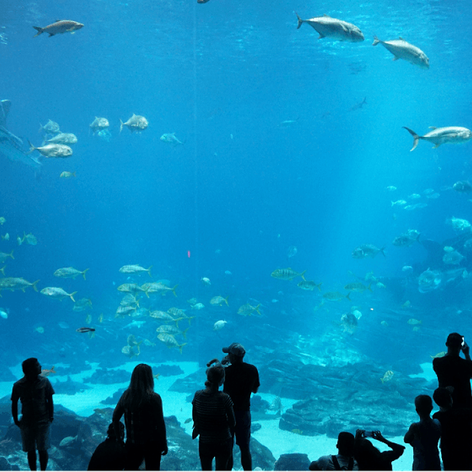 L'aquarium de Paris