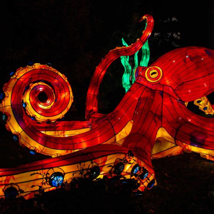 Illuminated ocean at the jardin des plantes